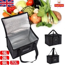 Large Insulated Lunch Bag