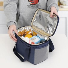 Large Insulated Lunch Bag